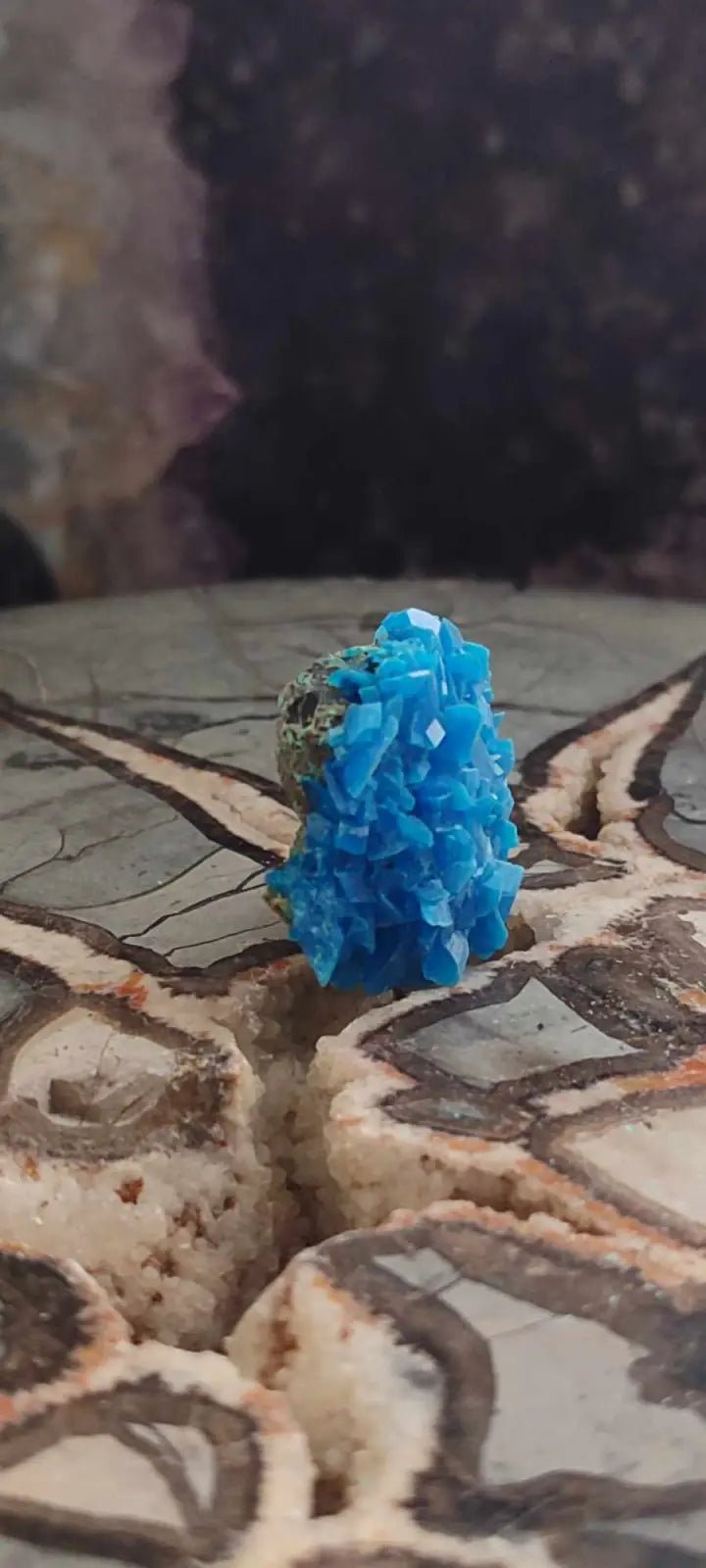 Load image into Gallery viewer, Chalcanthite de Pologne Grade A++++ Chalcanthite de Pologne
