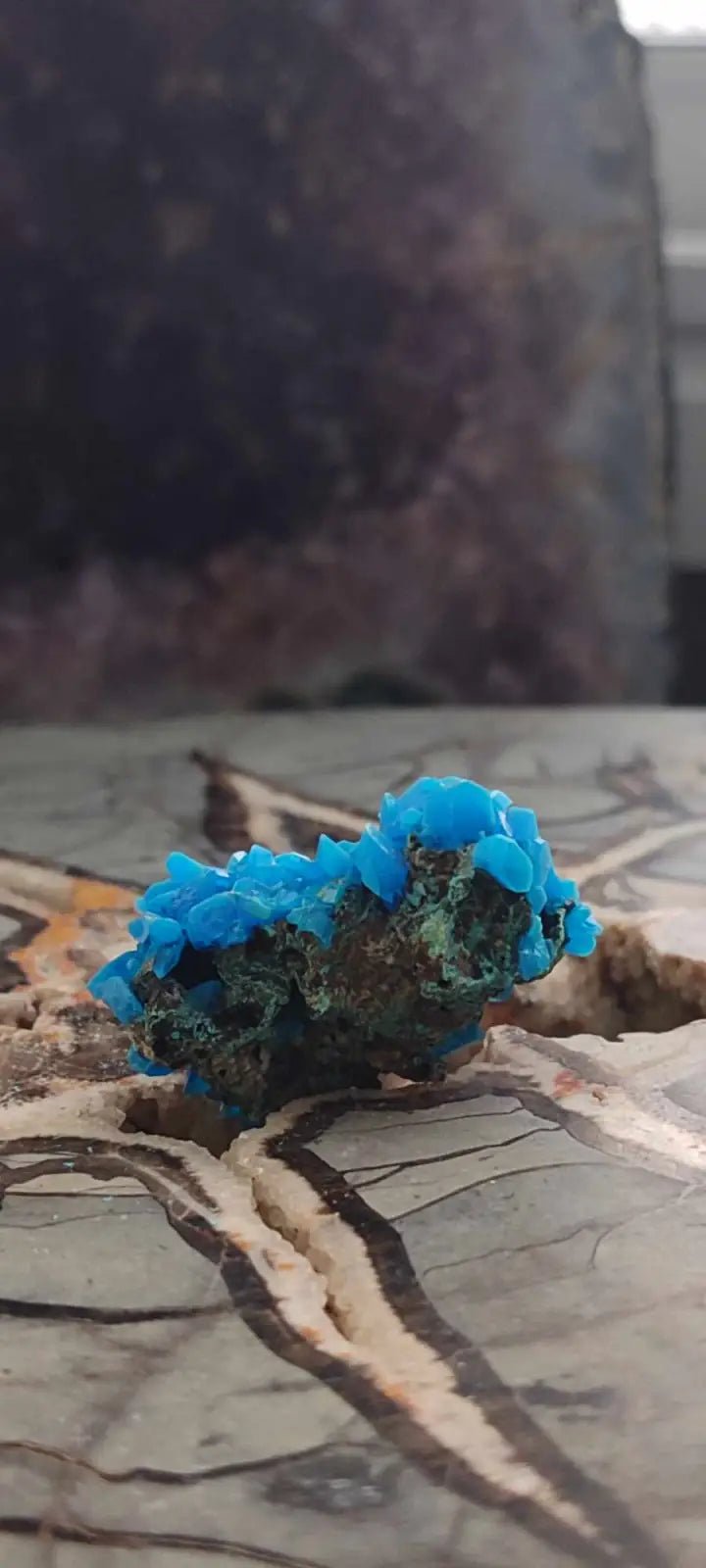 Load image into Gallery viewer, Chalcanthite de Pologne Grade A++++ Chalcanthite de Pologne
