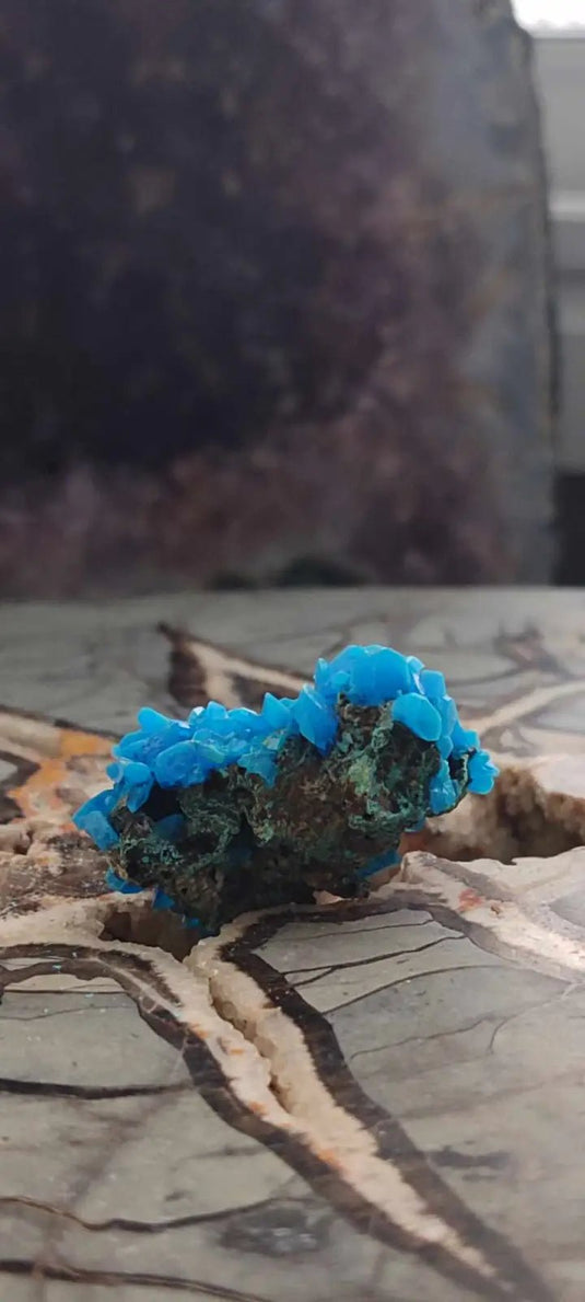 Chalcanthite de Pologne Grade A++++ Chalcanthite de Pologne