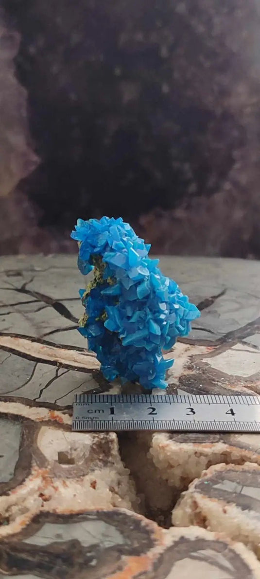 Chalcanthite de Pologne Grade A++++ Chalcanthite de Pologne