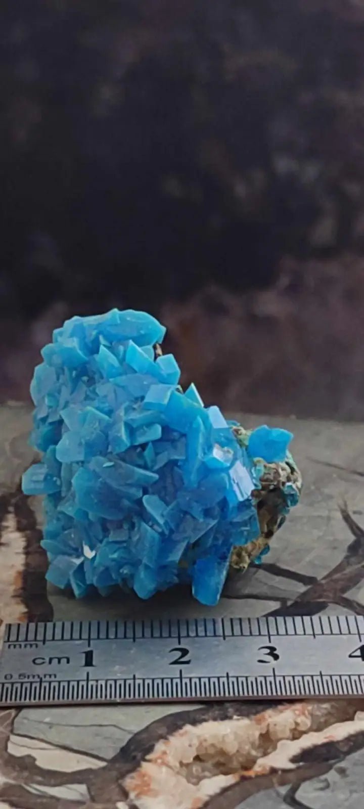 Load image into Gallery viewer, Chalcanthite de Pologne Grade A++++ Chalcanthite de Pologne
