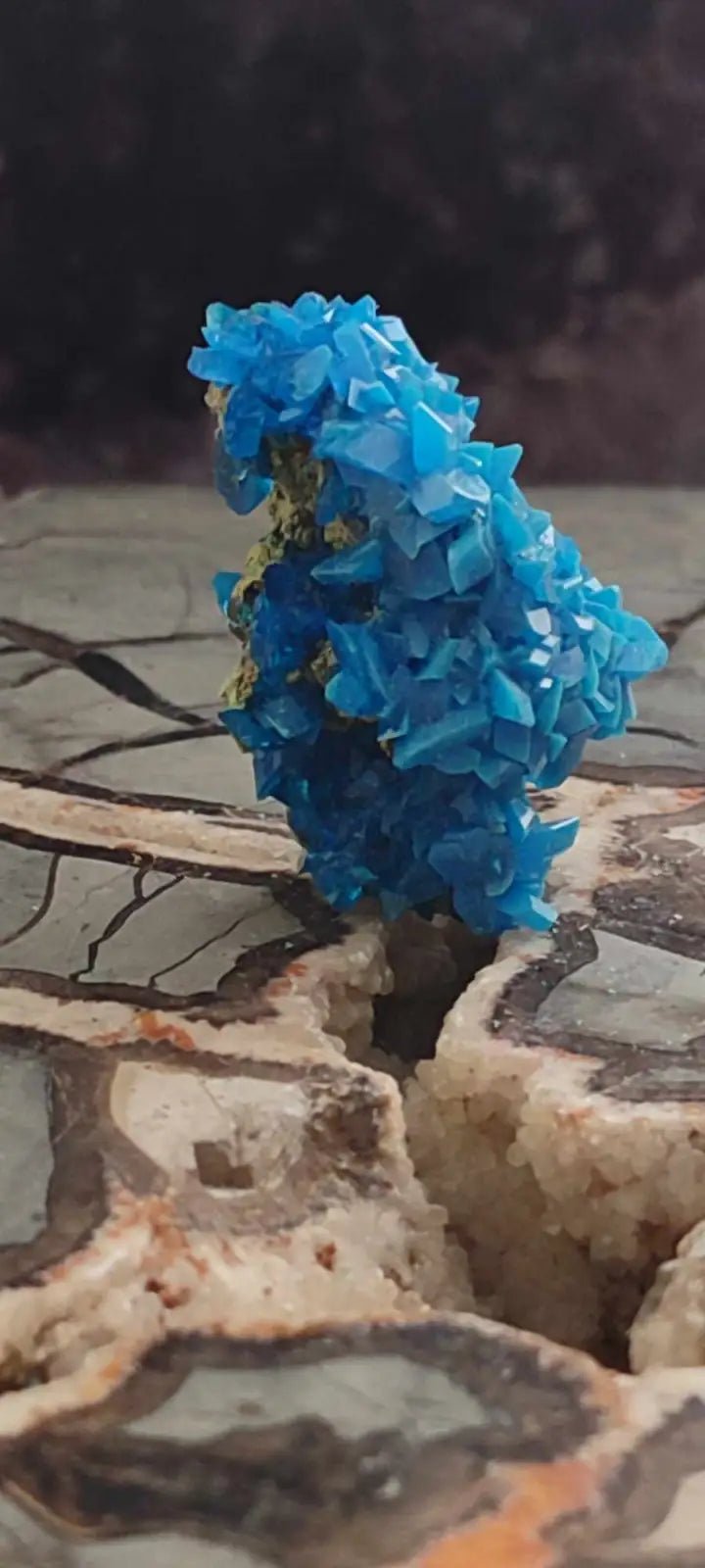 Load image into Gallery viewer, Chalcanthite de Pologne Grade A++++ Chalcanthite de Pologne
