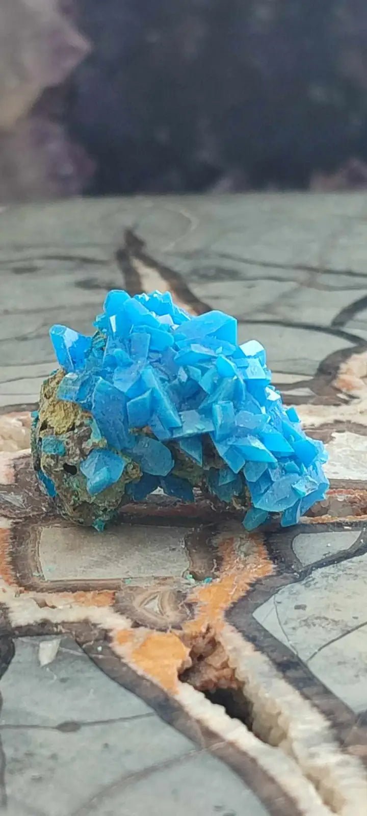 Load image into Gallery viewer, Chalcanthite de Pologne Grade A++++ Chalcanthite de Pologne
