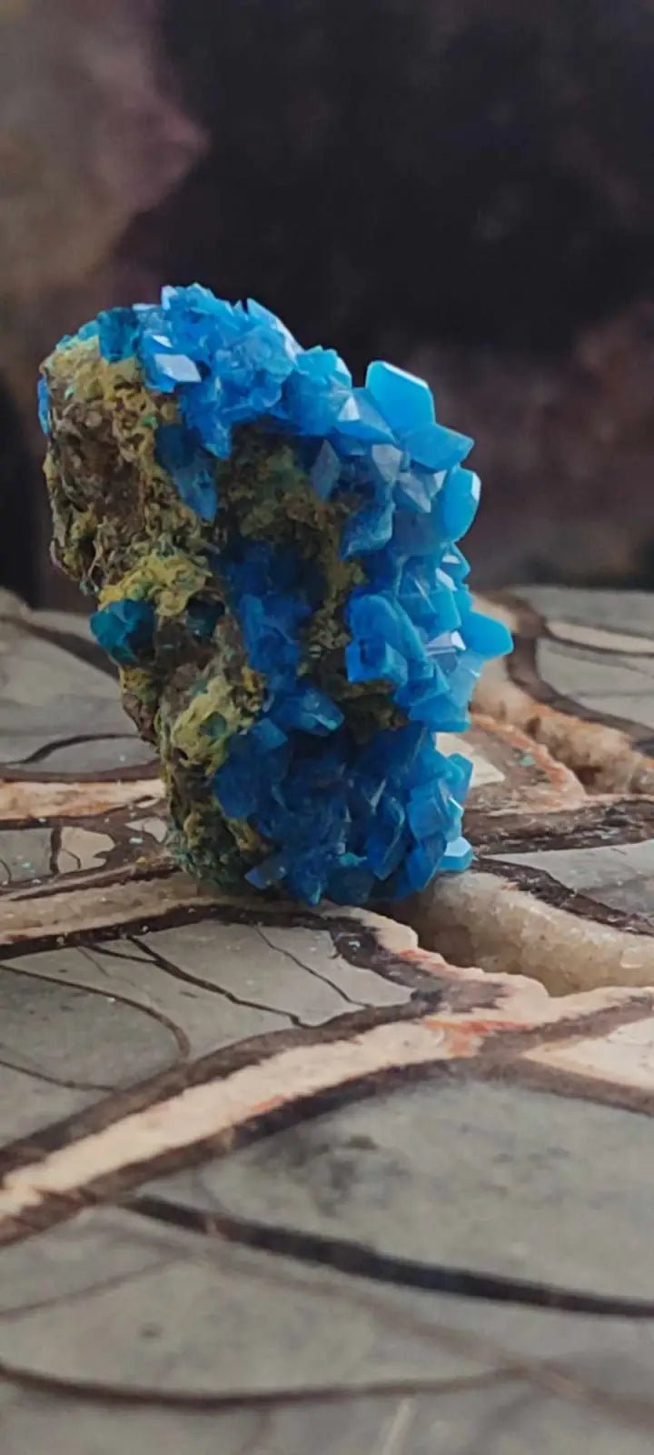 Load image into Gallery viewer, Chalcanthite de Pologne Grade A++++ Chalcanthite de Pologne
