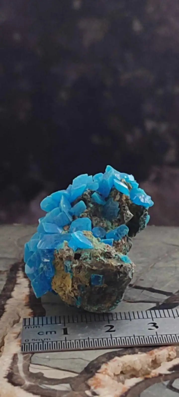 Load image into Gallery viewer, Chalcanthite de Pologne Grade A++++ Chalcanthite de Pologne
