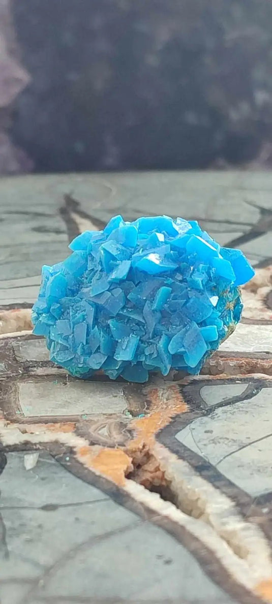 Chalcanthite de Pologne Grade A++++ Chalcanthite de Pologne