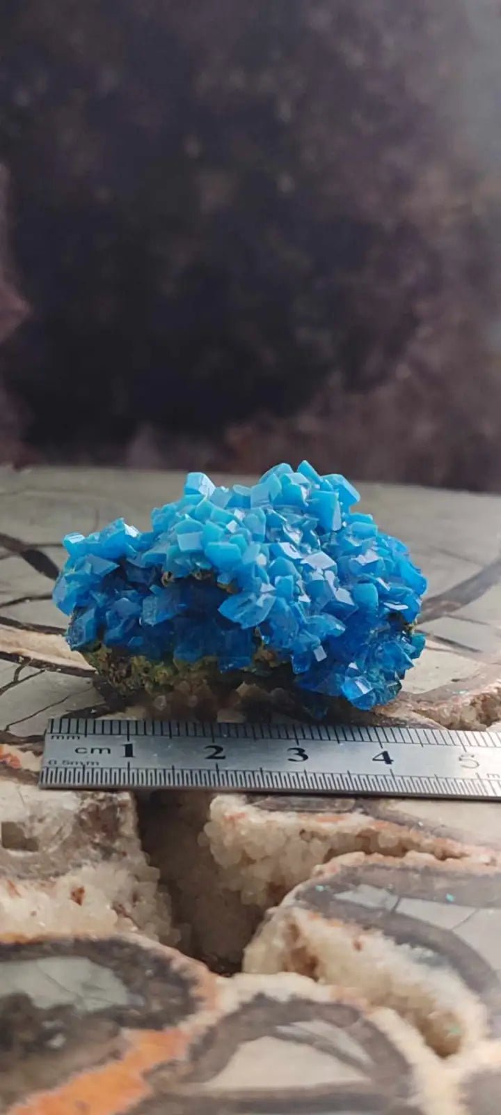 Load image into Gallery viewer, Chalcanthite de Pologne Grade A++++ Chalcanthite de Pologne
