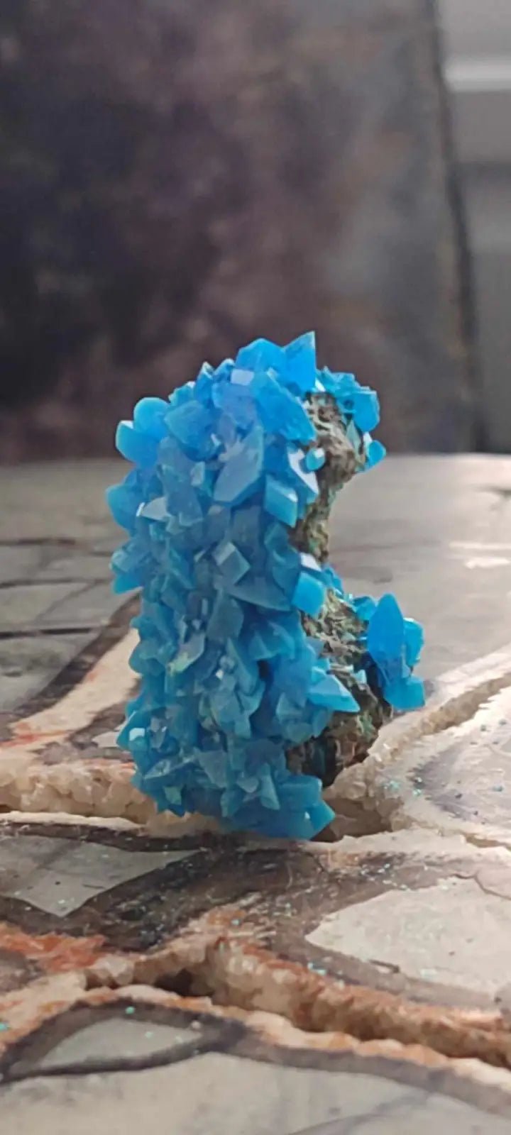 Load image into Gallery viewer, Chalcanthite de Pologne Grade A++++ Chalcanthite de Pologne
