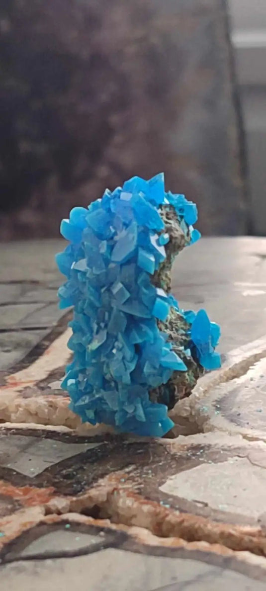 Chalcanthite de Pologne Grade A++++ Chalcanthite de Pologne