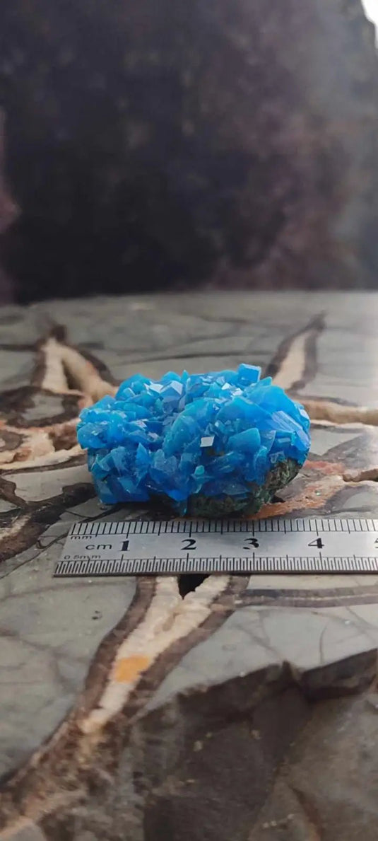 Chalcanthite de Pologne Grade A++++ Chalcanthite de Pologne