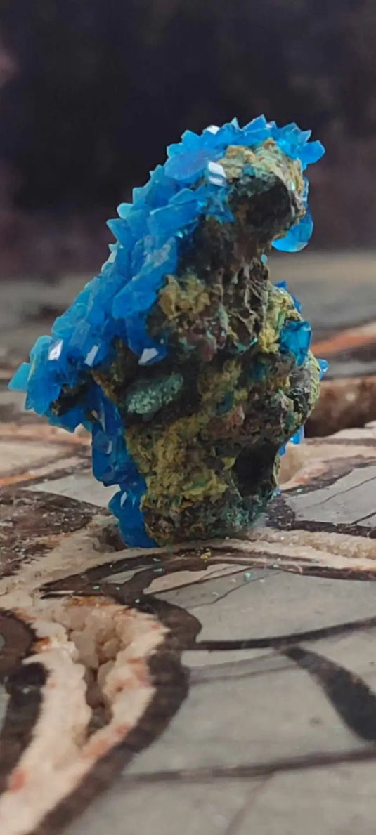 Chalcanthite de Pologne Grade A++++ Chalcanthite de Pologne