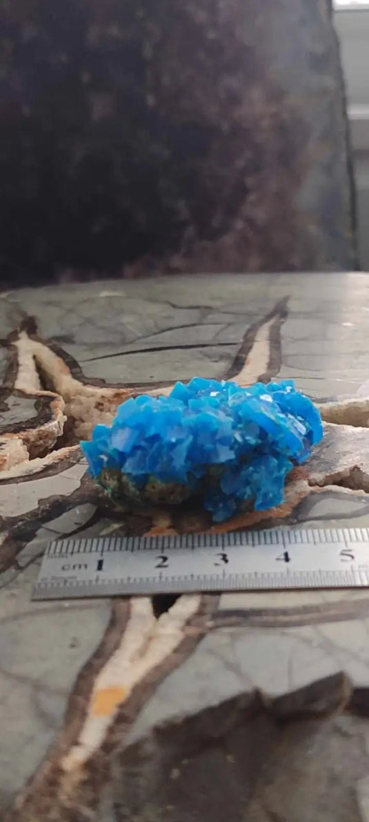 Chalcanthite de Pologne Grade A++++ Chalcanthite de Pologne