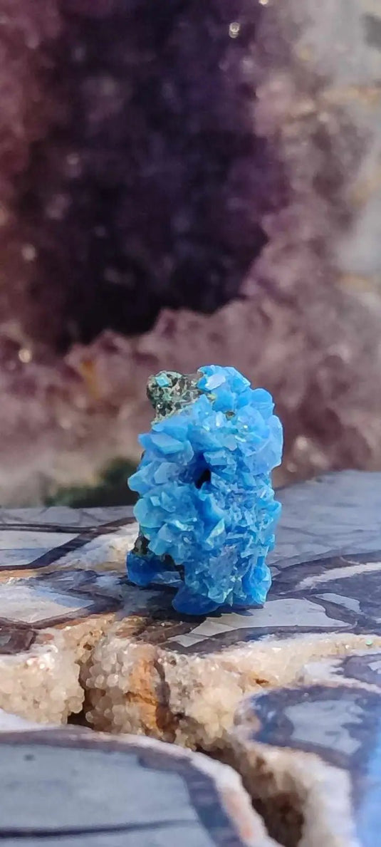 Chalcanthite de Pologne Grade A++++ Chalcanthite de Pologne