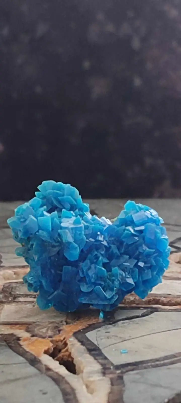 Load image into Gallery viewer, Chalcanthite de Pologne Grade A++++ Chalcanthite de Pologne
