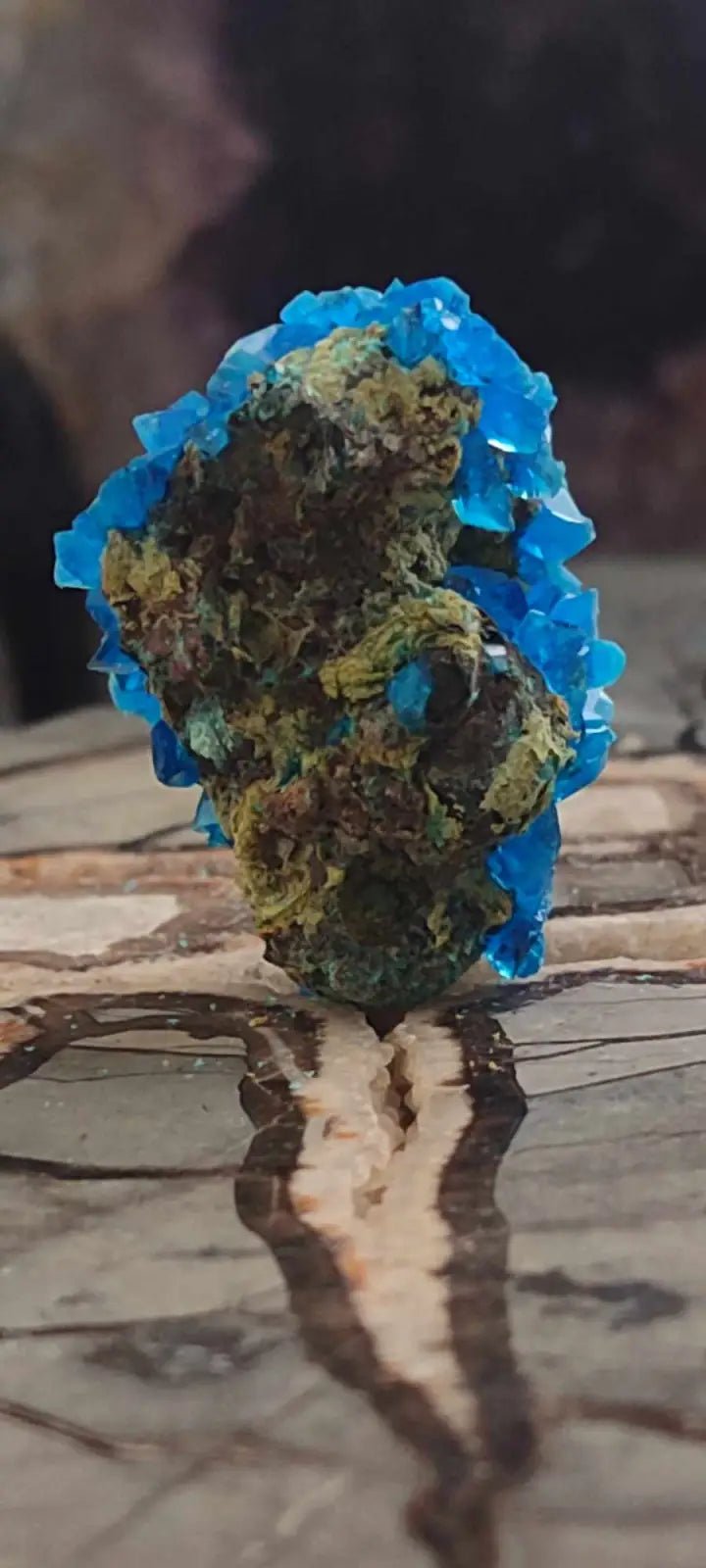 Load image into Gallery viewer, Chalcanthite de Pologne Grade A++++ Chalcanthite de Pologne
