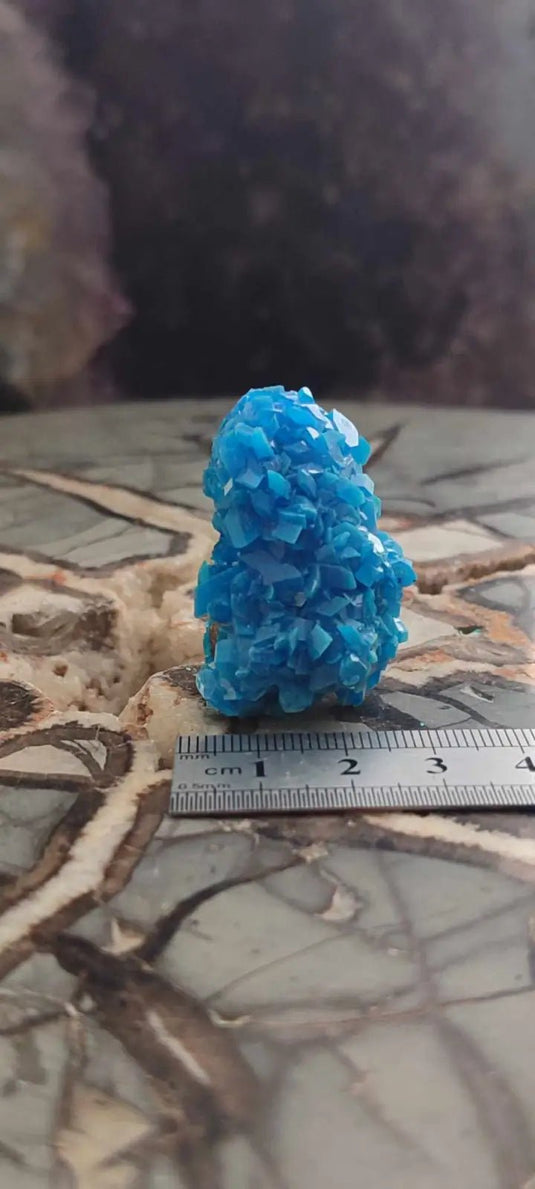 Chalcanthite de Pologne Grade A++++ Chalcanthite de Pologne