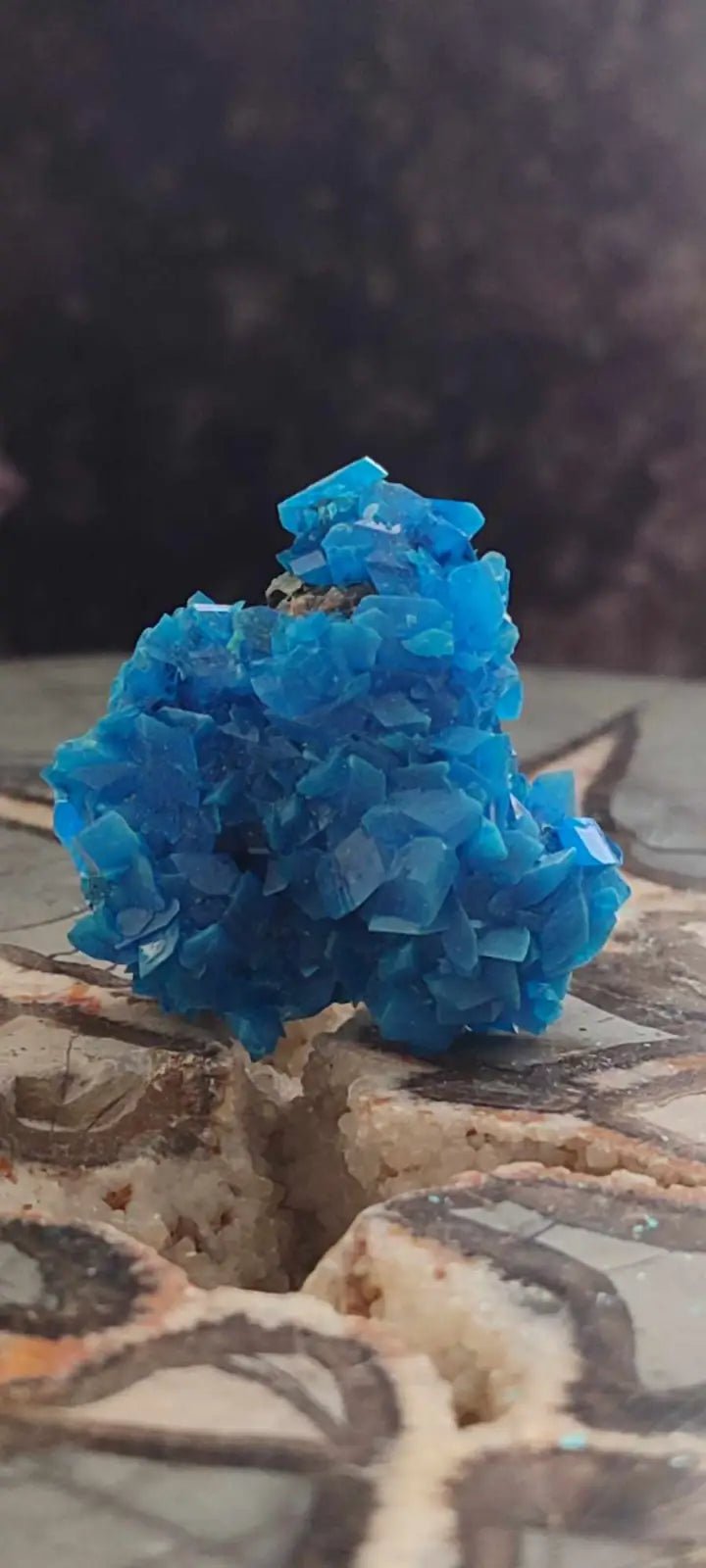 Load image into Gallery viewer, Chalcanthite de Pologne Grade A++++ Chalcanthite de Pologne
