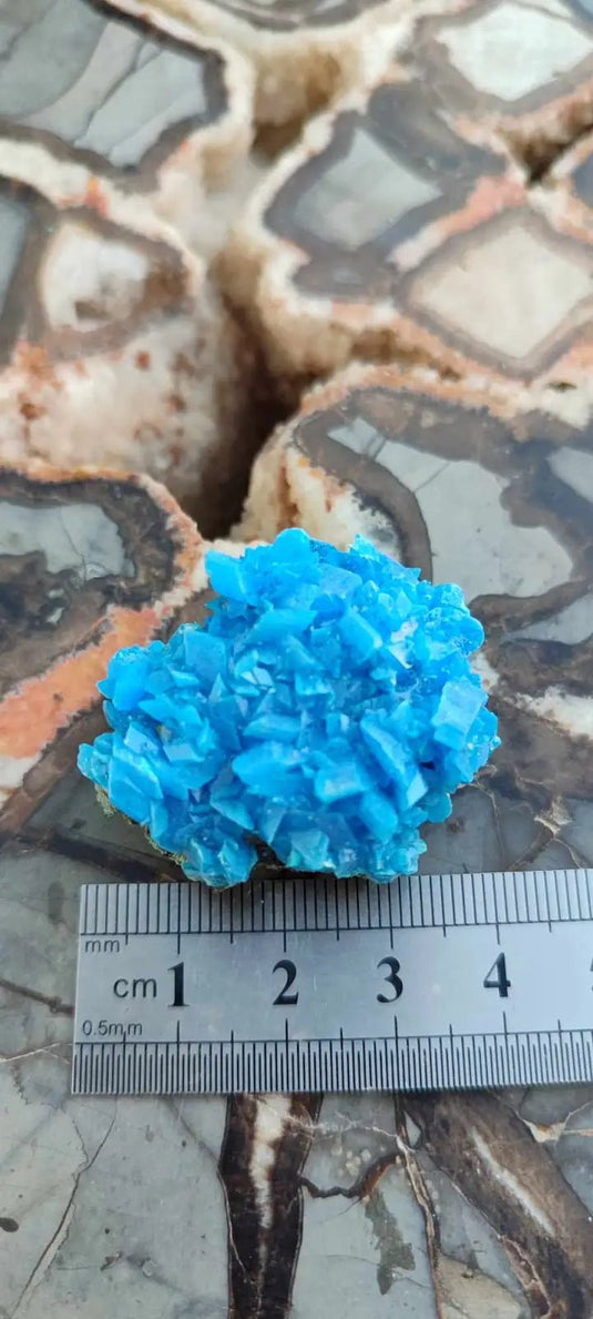 Chalcanthite de Pologne Grade A++++ Chalcanthite de Pologne