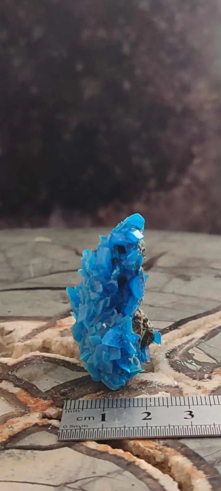 Load image into Gallery viewer, Chalcanthite de Pologne Grade A++++ Chalcanthite de Pologne
