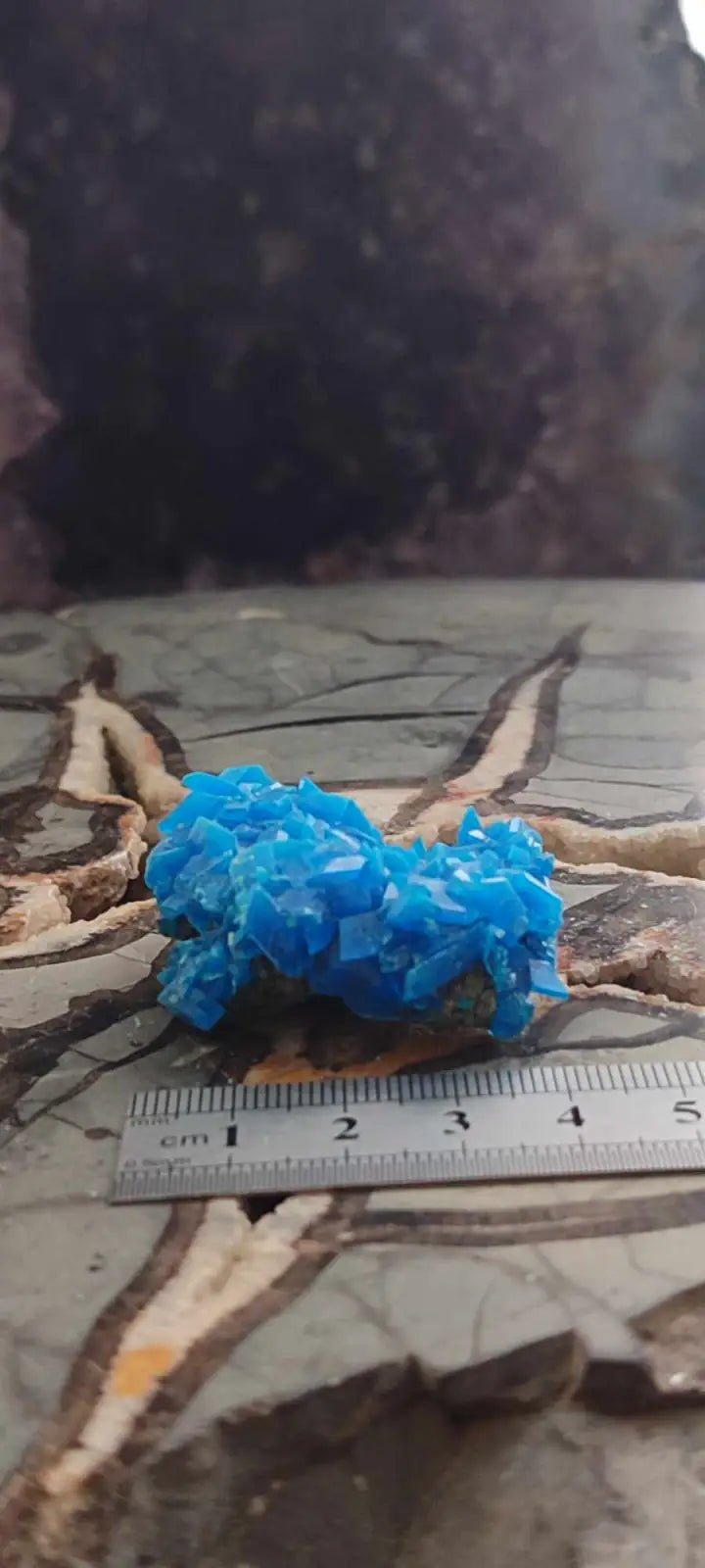 Load image into Gallery viewer, Chalcanthite de Pologne Grade A++++ Chalcanthite de Pologne
