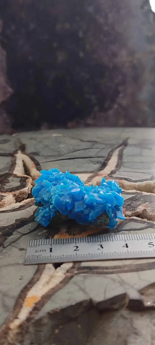 Chalcanthite de Pologne Grade A++++ Chalcanthite de Pologne