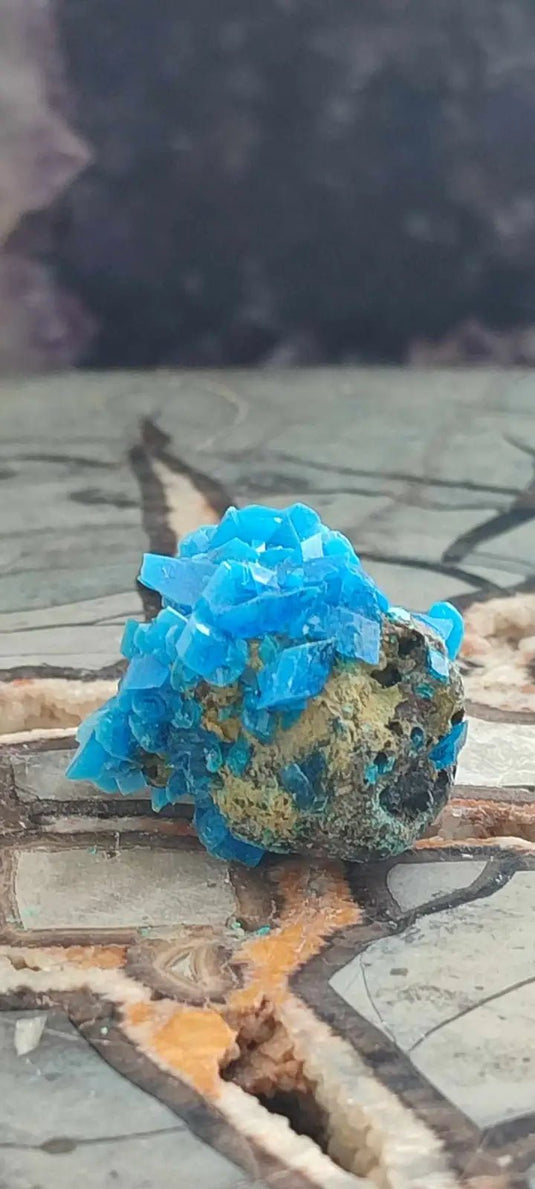 Chalcanthite de Pologne Grade A++++ Chalcanthite de Pologne