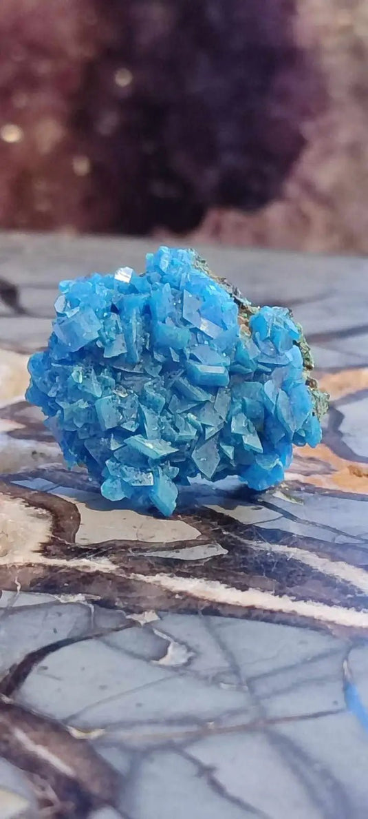 Chalcanthite de Pologne Grade A++++ Chalcanthite de Pologne