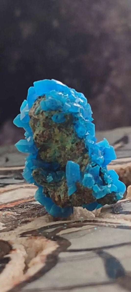 Chalcanthite de Pologne Grade A++++ Chalcanthite de Pologne
