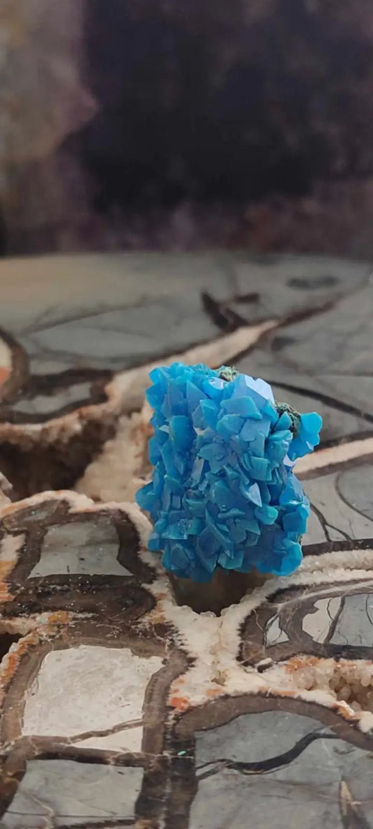 Chalcanthite de Pologne Grade A++++ Chalcanthite de Pologne