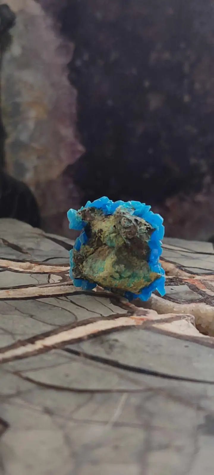 Load image into Gallery viewer, Chalcanthite de Pologne Grade A++++ Chalcanthite de Pologne
