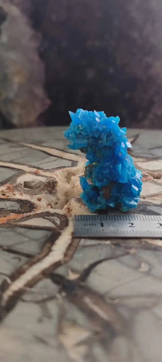 Chalcanthite de Pologne Grade A++++ Chalcanthite de Pologne