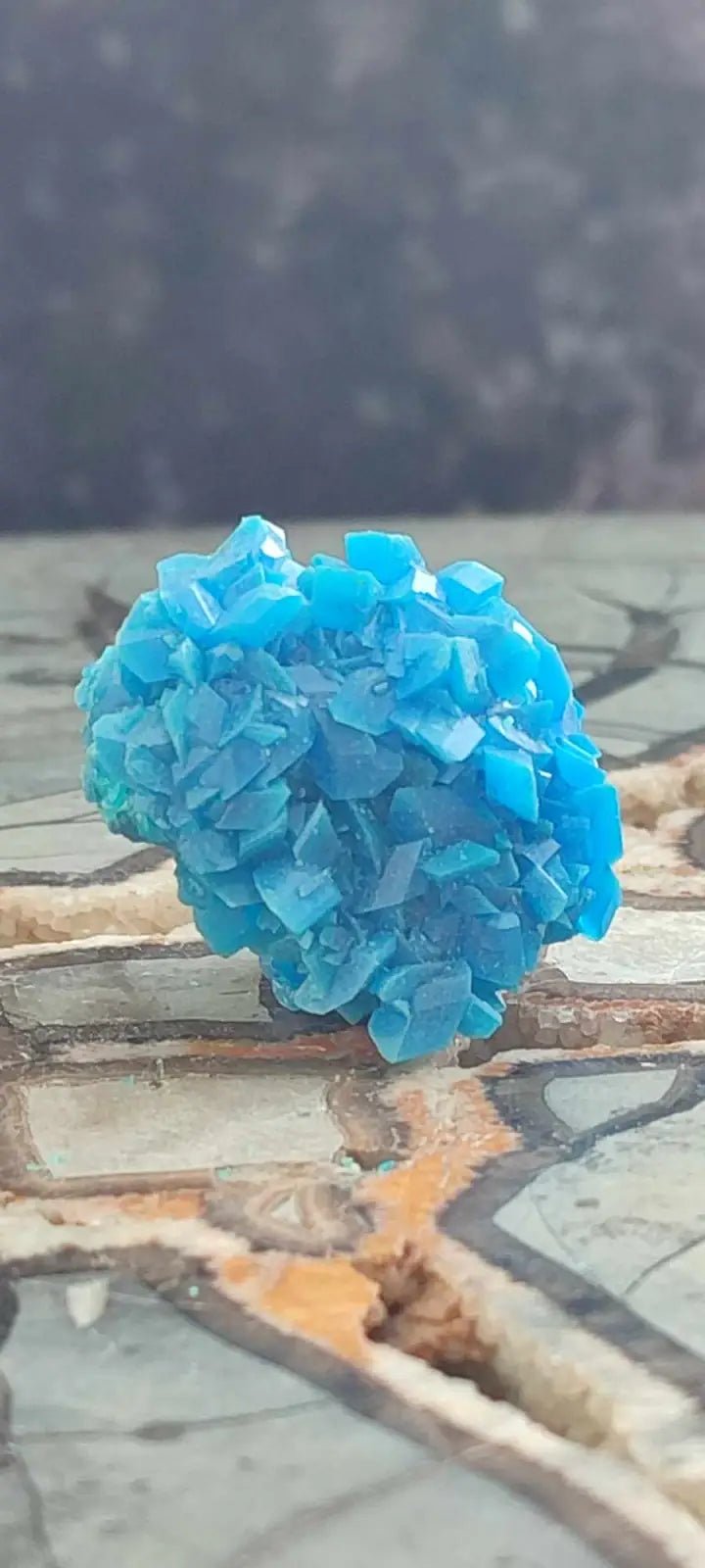 Load image into Gallery viewer, Chalcanthite de Pologne Grade A++++ Chalcanthite de Pologne
