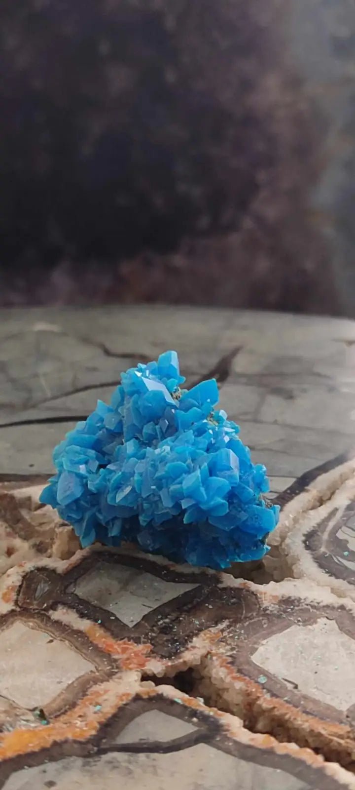 Load image into Gallery viewer, Chalcanthite de Pologne Grade A++++ Chalcanthite de Pologne
