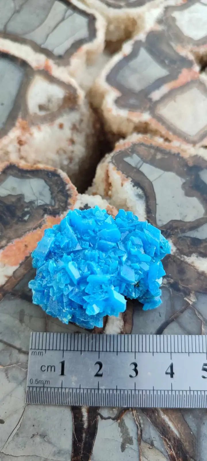 Load image into Gallery viewer, Chalcanthite de Pologne Grade A++++ Chalcanthite de Pologne
