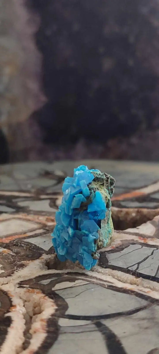 Chalcanthite de Pologne Grade A++++ Chalcanthite de Pologne