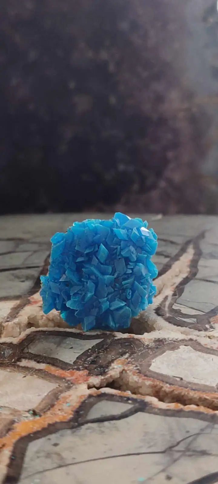 Load image into Gallery viewer, Chalcanthite de Pologne Grade A++++ Chalcanthite de Pologne
