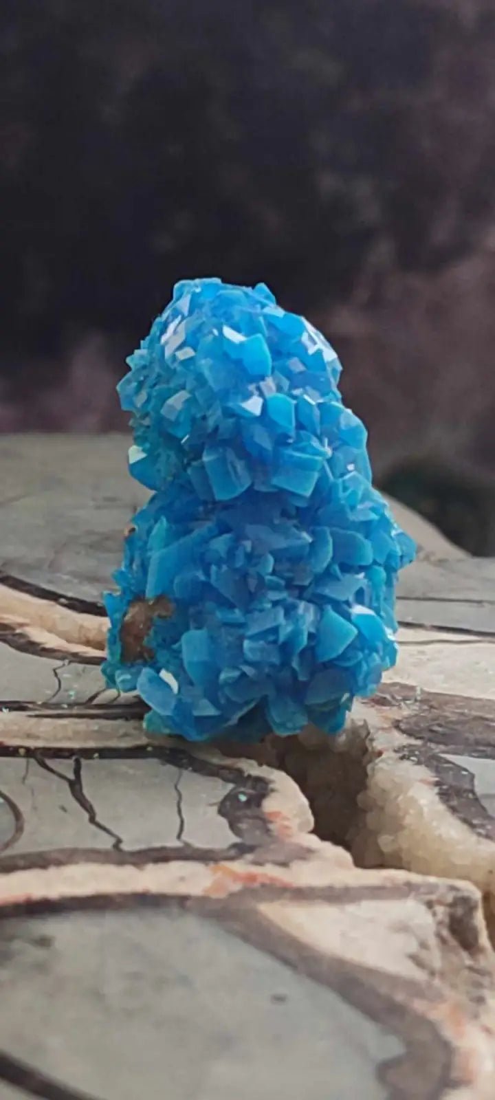 Load image into Gallery viewer, Chalcanthite de Pologne Grade A++++ Chalcanthite de Pologne
