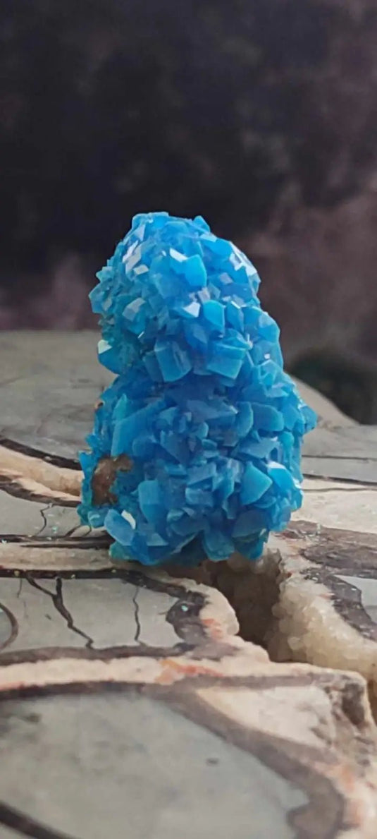 Chalcanthite de Pologne Grade A++++ Chalcanthite de Pologne