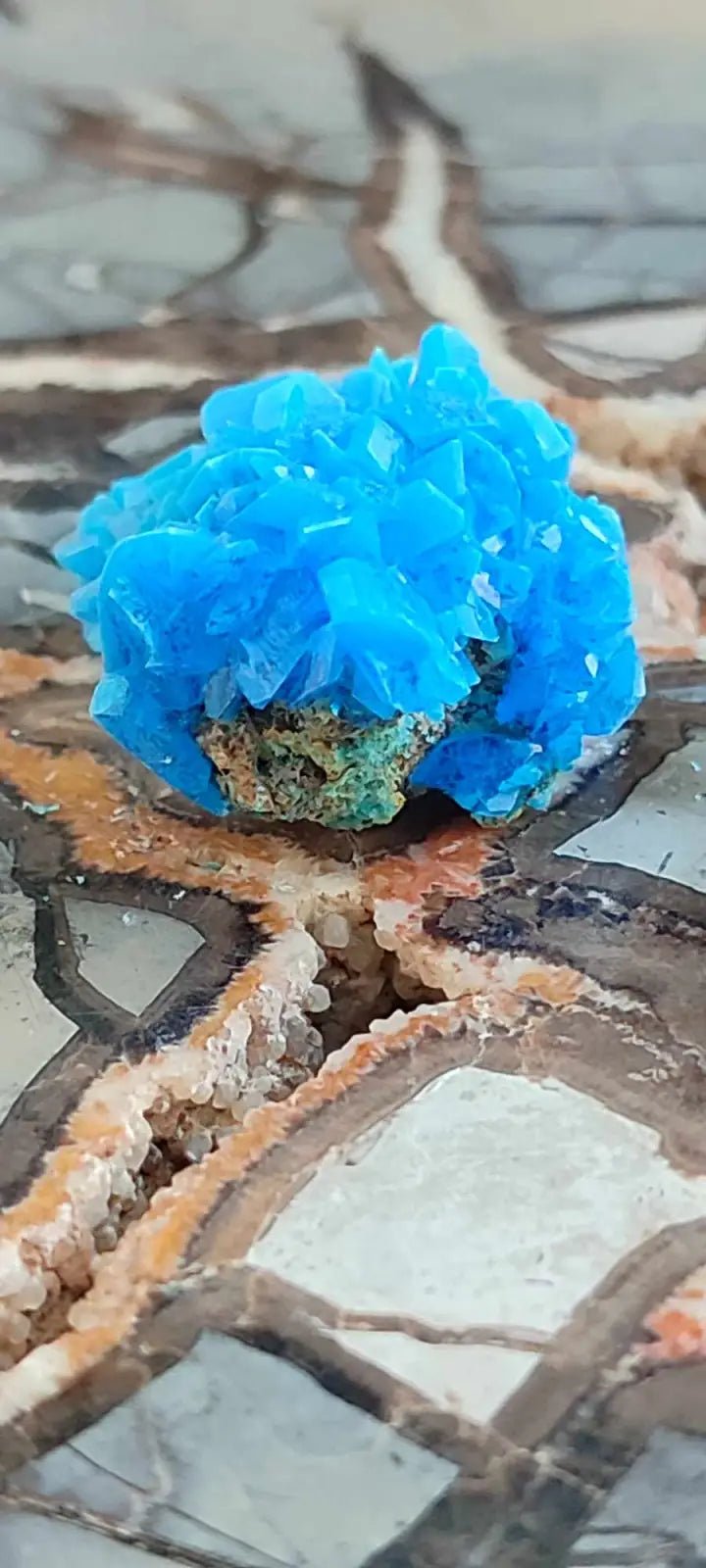 Load image into Gallery viewer, Chalcanthite de Pologne Grade A++++ Chalcanthite de Pologne
