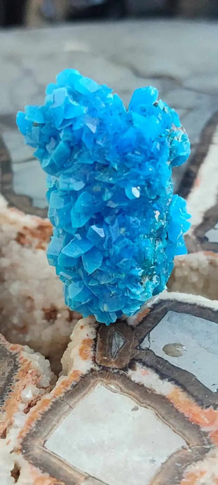 Chalcanthite de Pologne Grade A++++ Chalcanthite de Pologne