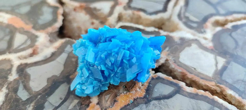 Load image into Gallery viewer, Chalcanthite de Pologne Grade A++++ Chalcanthite de Pologne
