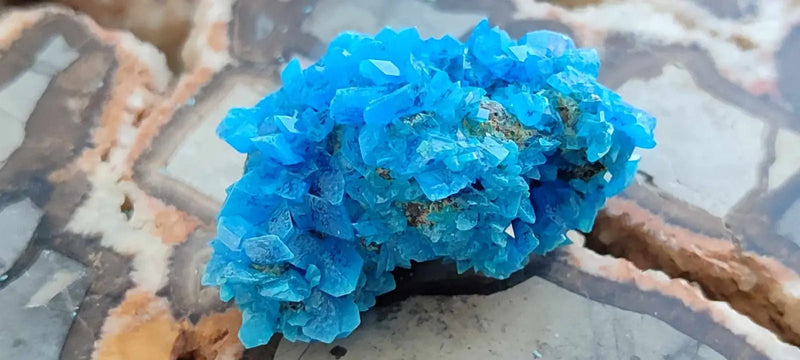 Load image into Gallery viewer, Chalcanthite de Pologne Grade A++++ Chalcanthite de Pologne
