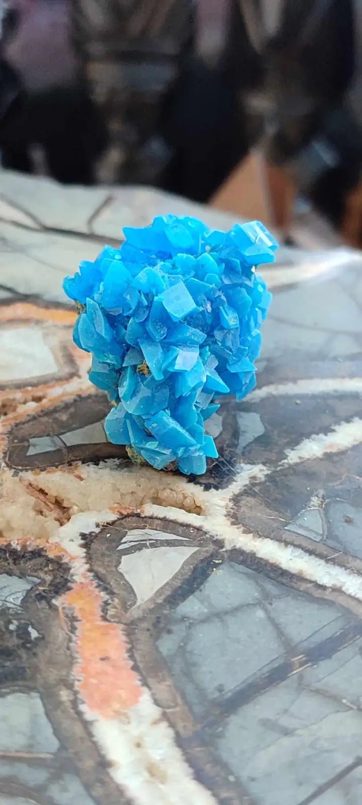 Load image into Gallery viewer, Chalcanthite de Pologne Grade A++++ Chalcanthite de Pologne
