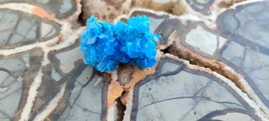 Chalcanthite de Pologne Grade A++++ Chalcanthite de Pologne