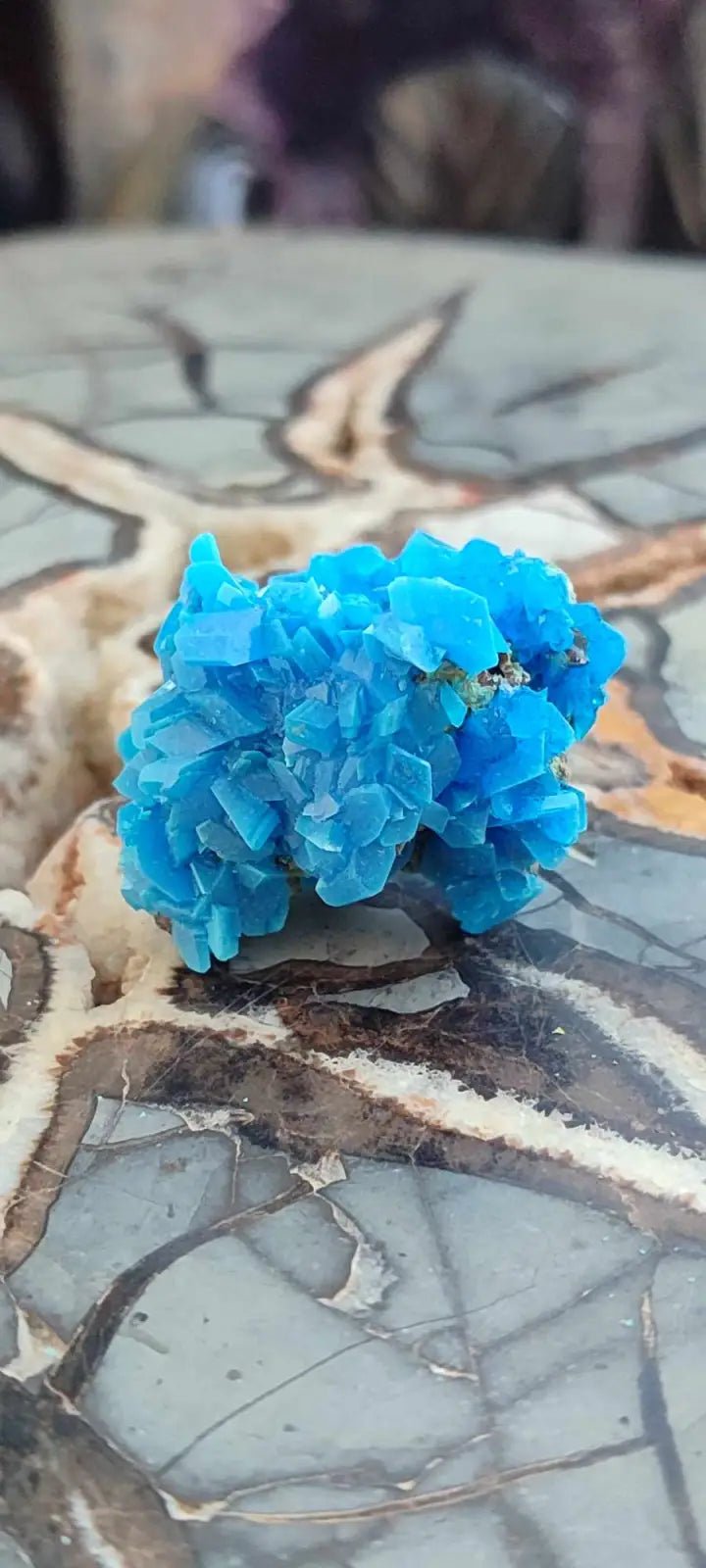 Load image into Gallery viewer, Chalcanthite de Pologne Grade A++++ Chalcanthite de Pologne
