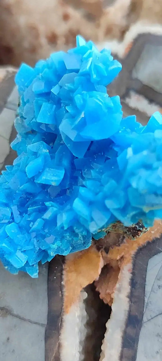 Chalcanthite de Pologne Grade A++++ Chalcanthite de Pologne