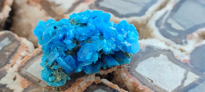 Load image into Gallery viewer, Chalcanthite de Pologne Grade A++++ Chalcanthite de Pologne
