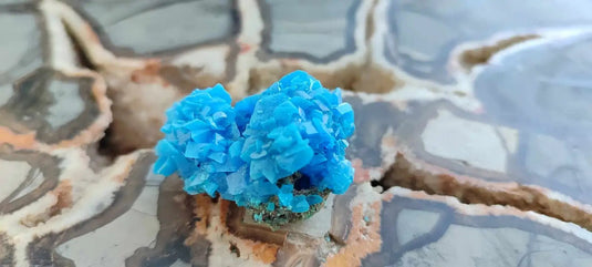 Chalcanthite de Pologne Grade A++++ Chalcanthite de Pologne