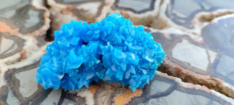 Load image into Gallery viewer, Chalcanthite de Pologne Grade A++++ Chalcanthite de Pologne
