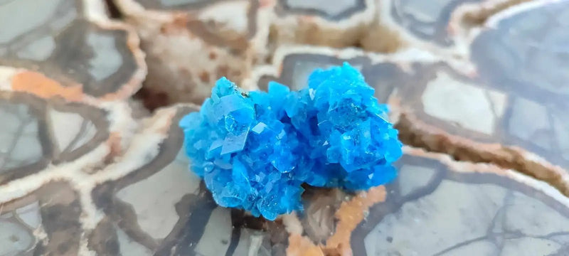 Load image into Gallery viewer, Chalcanthite de Pologne Grade A++++ Chalcanthite de Pologne
